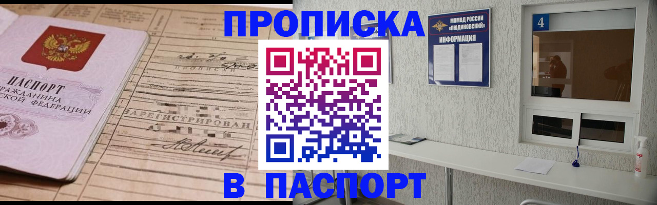 временная регистрация в Шатуре